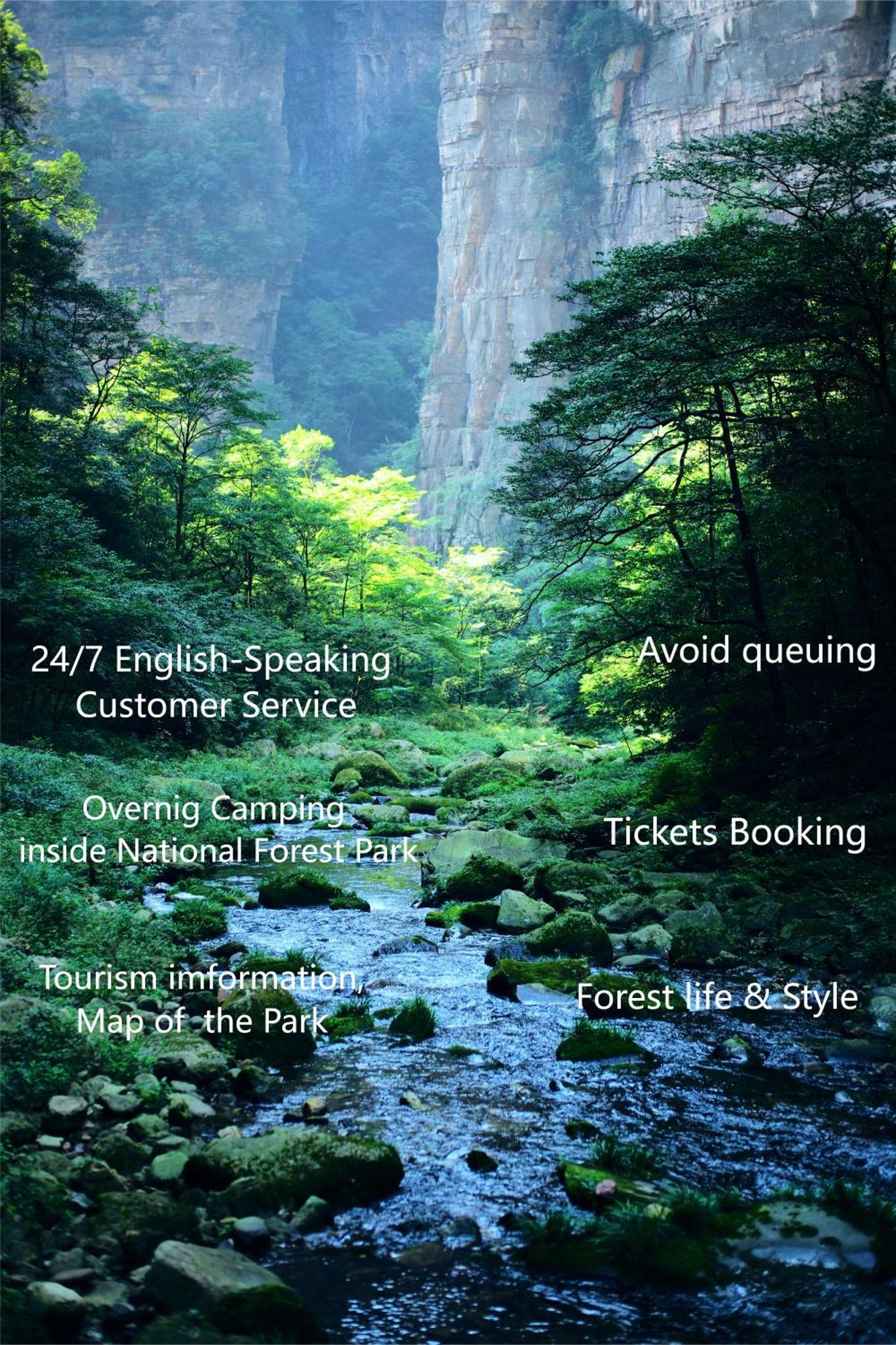 Zhangjiajie National Forest Park Camping ภายนอก รูปภาพ
