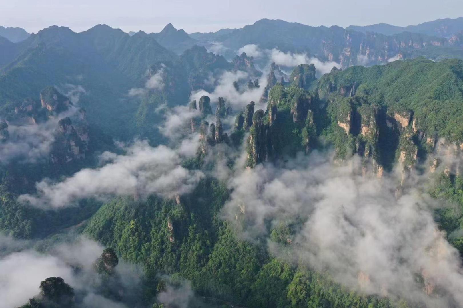 Zhangjiajie National Forest Park Camping ภายนอก รูปภาพ